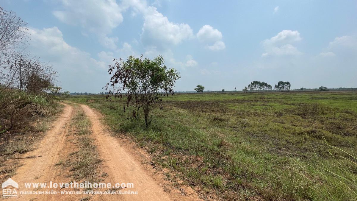 ขายที่ดิน ต.เกาะลอย อ.ประจันตคาม จ.ปราจีนบุรี ใกล้ อบต.เกาะลอย พื้นที่ 39 ไร่ อยู่ใกล้แหล่งน้ำ เหมาะทำเกษตรกรรม หน้ากว้าง 320 ม. ลึก 370 ม.