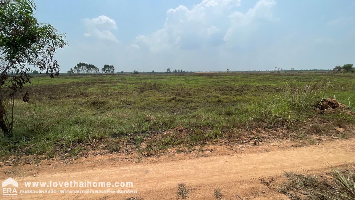 ขายที่ดิน ต.เกาะลอย อ.ประจันตคาม จ.ปราจีนบุรี ใกล้ อบต.เกาะลอย พื้นที่ 39 ไร่ อยู่ใกล้แหล่งน้ำ เหมาะทำเกษตรกรรม หน้ากว้าง 320 ม. ลึก 370 ม.