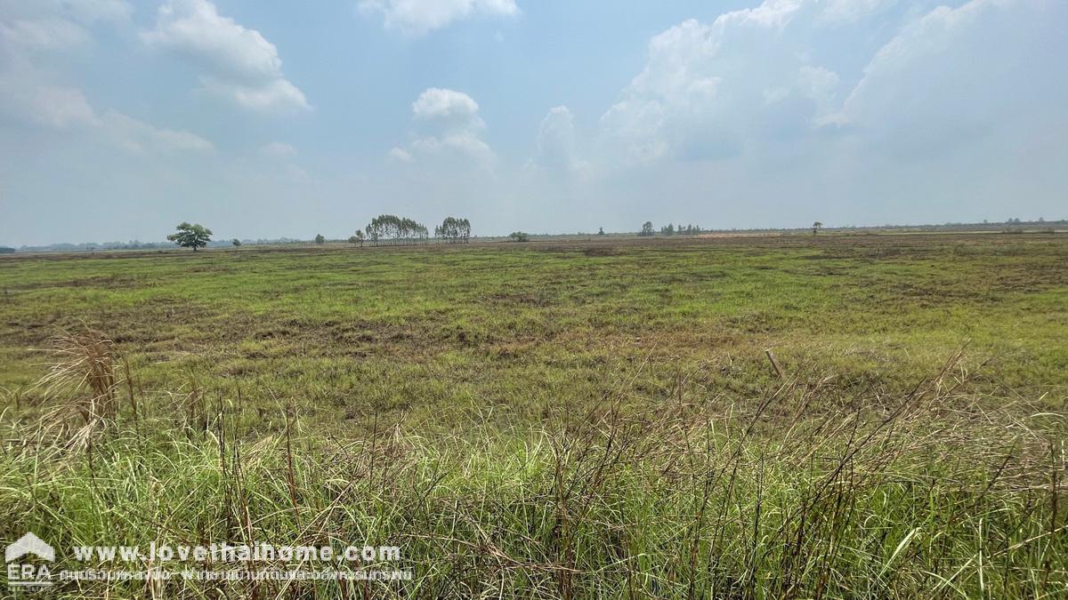 ขายที่ดิน ต.เกาะลอย อ.ประจันตคาม จ.ปราจีนบุรี ใกล้ อบต.เกาะลอย พื้นที่ 39 ไร่ อยู่ใกล้แหล่งน้ำ เหมาะทำเกษตรกรรม หน้ากว้าง 320 ม. ลึก 370 ม.