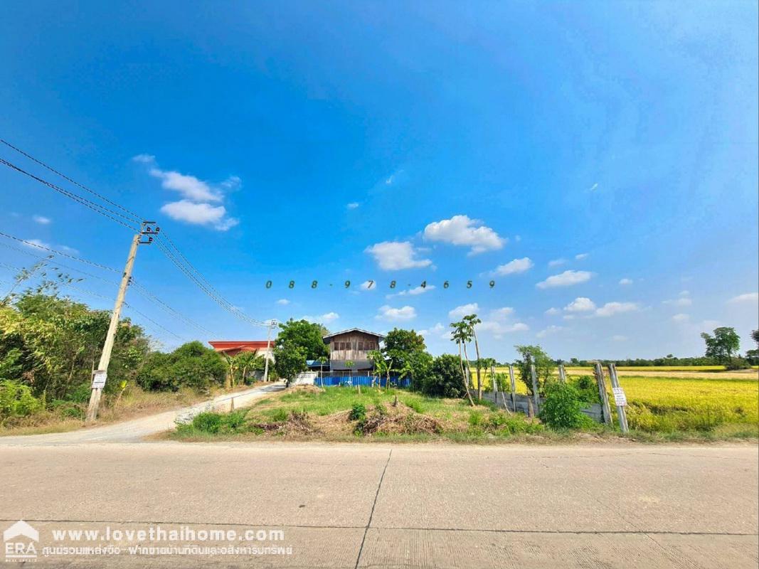 ขายที่ดิน ถนนนนทบุรี3008 ใกล้ถนนบางบัวทอง-สุพรรณบุรี พื้นที่ 96 ตรว. แปลงมุม ติดถนน 2 ด้าน ถมแล้วสูงเท่าถนน ใกล้วัดราษฎร์นิยม เหมาะสร้างบ้าน,บ้านให้เช่า ทำCafe ร้านอาหารต่างๆ บรรยากาศดี