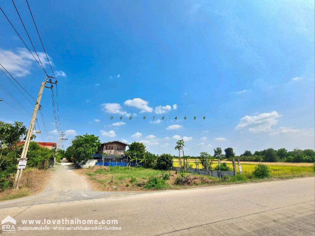 ขายที่ดิน ถนนนนทบุรี3008 ใกล้ถนนบางบัวทอง-สุพรรณบุรี พื้นที่ 96 ตรว. แปลงมุม ติดถนน 2 ด้าน ถมแล้วสูงเท่าถนน ใกล้วัดราษฎร์นิยม เหมาะสร้างบ้าน,บ้านให้เช่า ทำCafe ร้านอาหารต่างๆ บรรยากาศดี