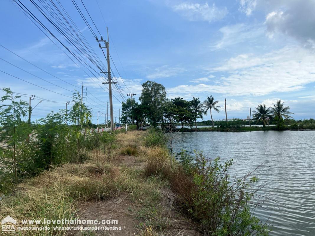 ขายที่ดินเปล่า ถนนรัตนโกสินทร์ 200 ปี พื้นที่ 5 ไร่ "สวยมาก" หน้ากว้างติดถนน 4 เลน (กว้าง 92 x 87 เมตร) ขายตารางวาละ 20,000 บาท