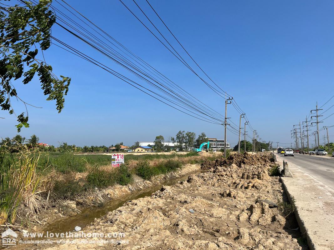 ขายที่ดินเปล่า ถนนรัตนโกสินทร์ 200 ปี พื้นที่ 5 ไร่ "สวยมาก" หน้ากว้างติดถนน 4 เลน (กว้าง 92 x 87 เมตร) ขายตารางวาละ 20,000 บาท