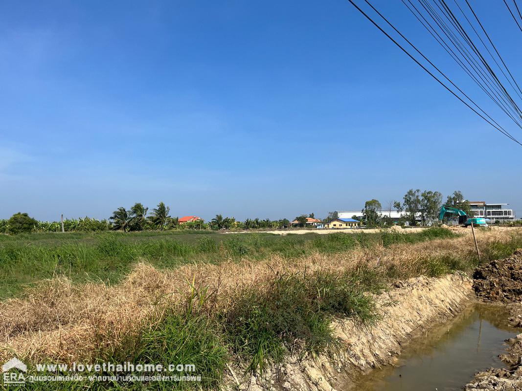 ขายที่ดินเปล่า ถนนรัตนโกสินทร์ 200 ปี พื้นที่ 5 ไร่ "สวยมาก" หน้ากว้างติดถนน 4 เลน (กว้าง 92 x 87 เมตร) ขายตารางวาละ 20,000 บาท