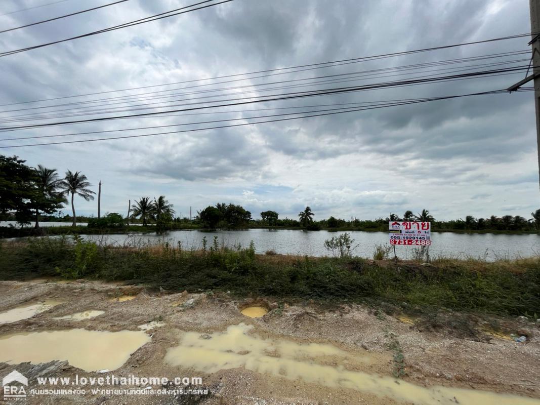 ขายที่ดินเปล่า ถนนรัตนโกสินทร์ 200 ปี พื้นที่ 5 ไร่ "สวยมาก" หน้ากว้างติดถนน 4 เลน (กว้าง 92 x 87 เมตร) ขายตารางวาละ 20,000 บาท