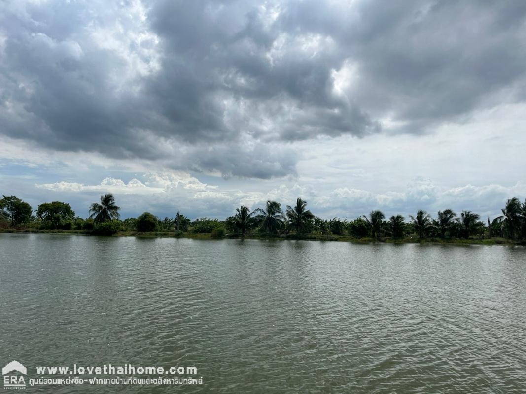 ขายที่ดินเปล่า ถนนรัตนโกสินทร์ 200 ปี พื้นที่ 5 ไร่ "สวยมาก" หน้ากว้างติดถนน 4 เลน (กว้าง 92 x 87 เมตร) ขายตารางวาละ 20,000 บาท