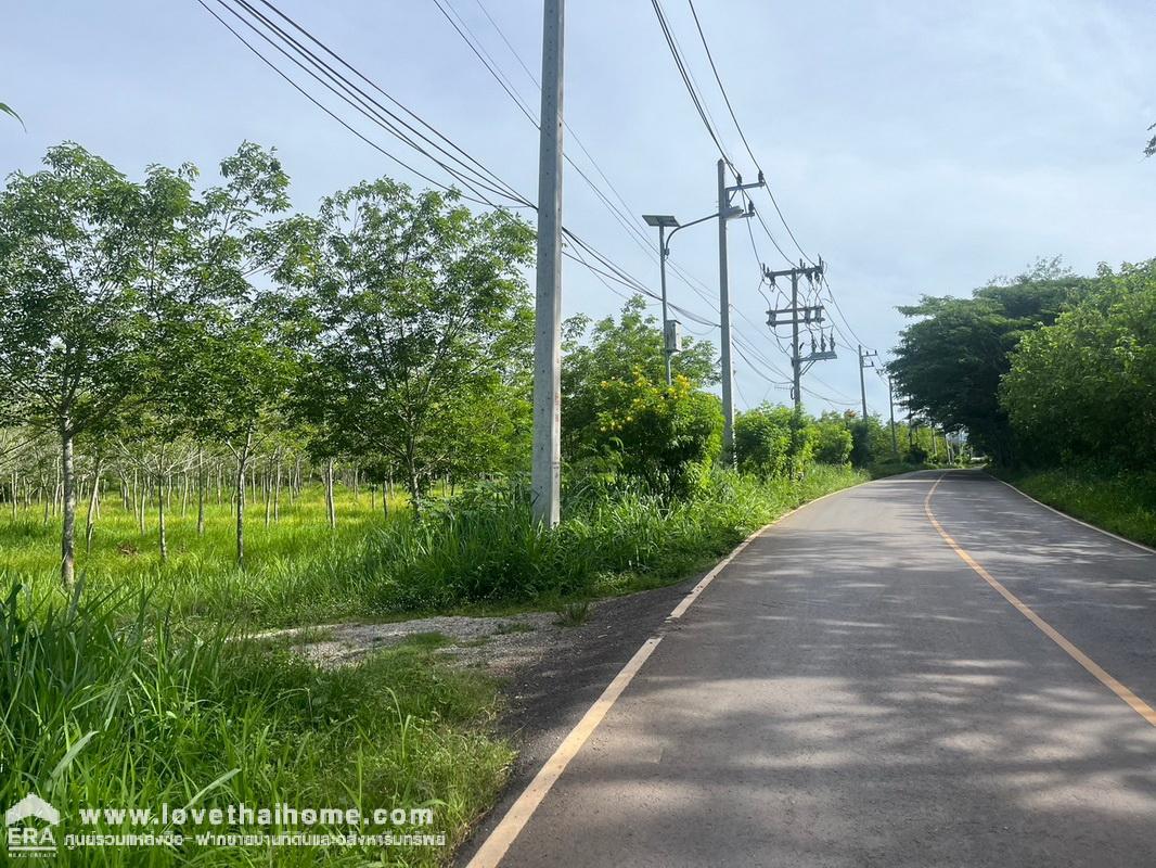 ขายที่ดินเปล่า ใกล้อุทยานแห่งชาติเขาใหญ่ ที่สวยถมแล้ว ใกล้เคียงอุทยานแห่งชาติเขาใหญ่ พื้นที่ 3 ไร่ ต.หมูสี อ.ปากช่อง จ.นครราชสีมา