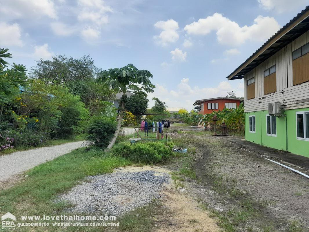 ขายที่ดิน ถนนเชียงรากน้อย ใกล้คลองเปรมประชากร ที่ดินทำเลดี พื้นที่ 50 ตรว. ราคาถูก บรรยากาศร่มรื่น เหมาะทำที่พักอาศัย หรือห้องเช่าต่อยอดทางการเงินได้ ใกล้ทางรถไฟ ติดถนน 2 ฝั่ง และใกล้ทางด่วนเชียงรากน้อย