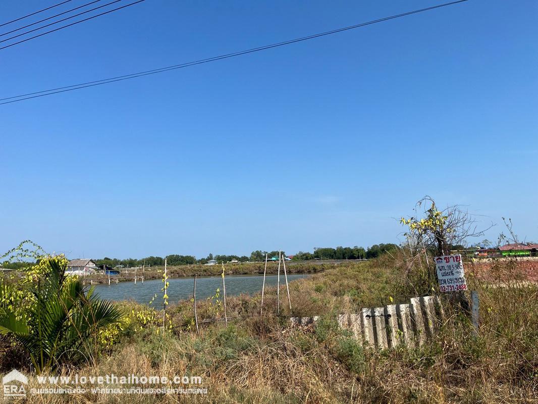 ขายที่ดิน ติดถนนชายทะเล-บางขุนเทียน พื้นที่ 20-3-78.1 ไร่ ราคาพิเศษสุดๆ เหมาะทำธุรกิจ,โรงแรม,รีสอร์ท,โครงการบ้านจัดสรร อย่างสวย บรรยากาศดีมากๆ