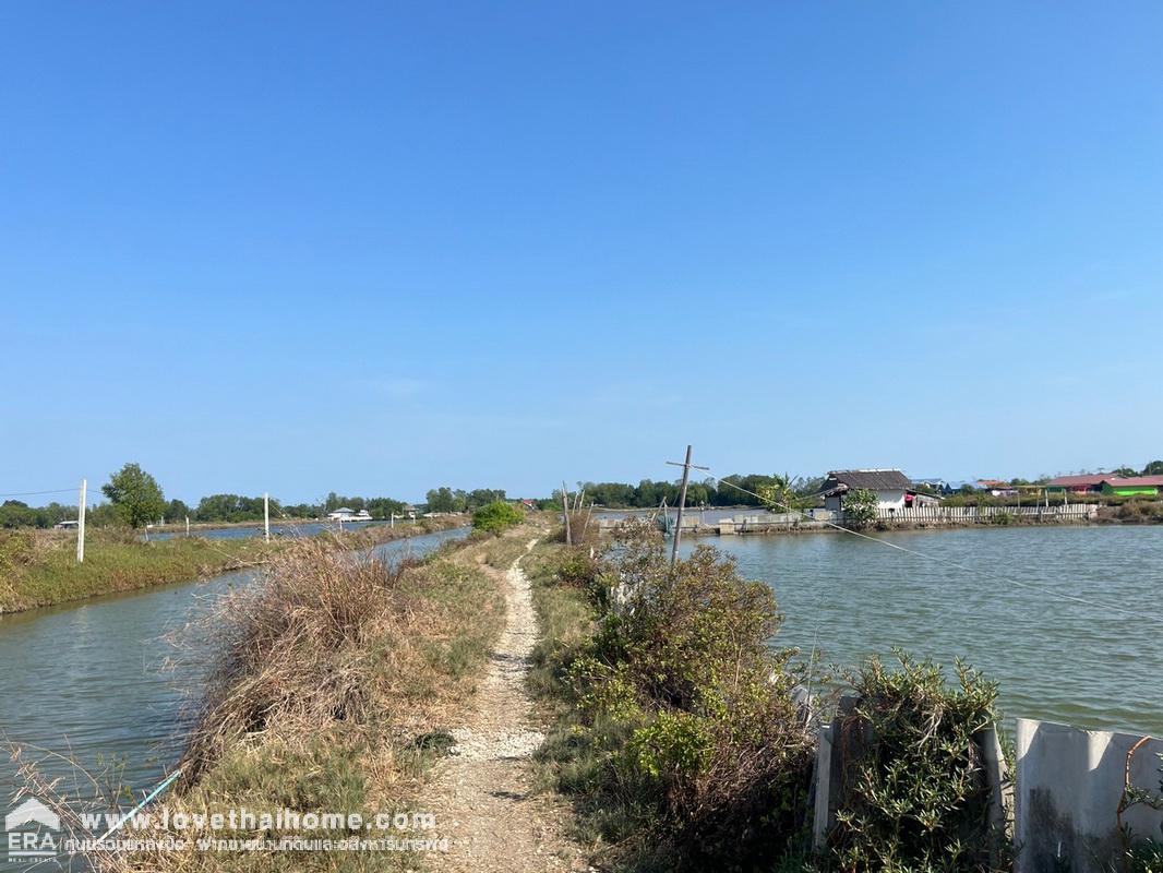 ขายที่ดิน ติดถนนชายทะเล-บางขุนเทียน พื้นที่ 20-3-78.1 ไร่ ราคาพิเศษสุดๆ เหมาะทำธุรกิจ,โรงแรม,รีสอร์ท,โครงการบ้านจัดสรร อย่างสวย บรรยากาศดีมากๆ