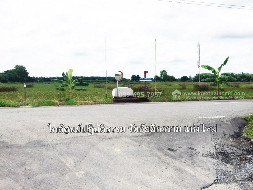 ขายที่ดิน 100 ตร.วา ถ.รังสิต-นครนายก คลอง 9 (ซอย รพ.ส่งเสริมสุขภาพ) ต.ลำผักกูด ธัญบุรี จ.ปทุมธานี ราคาถูกกว่าประเมิน ใกล้วัดอัยยิการาม ขายที่ดิน 100 ตร.วา ถ.รังสิต-นครนายก คลอง 9 (ซอย รพ.ส่งเสริมสุขภาพ) ต.ลำผักกูด ธัญบุรี จ.ปทุมธานี ราคาถูกกว่าประเมิน ใกล้วัดอัยยิการาม