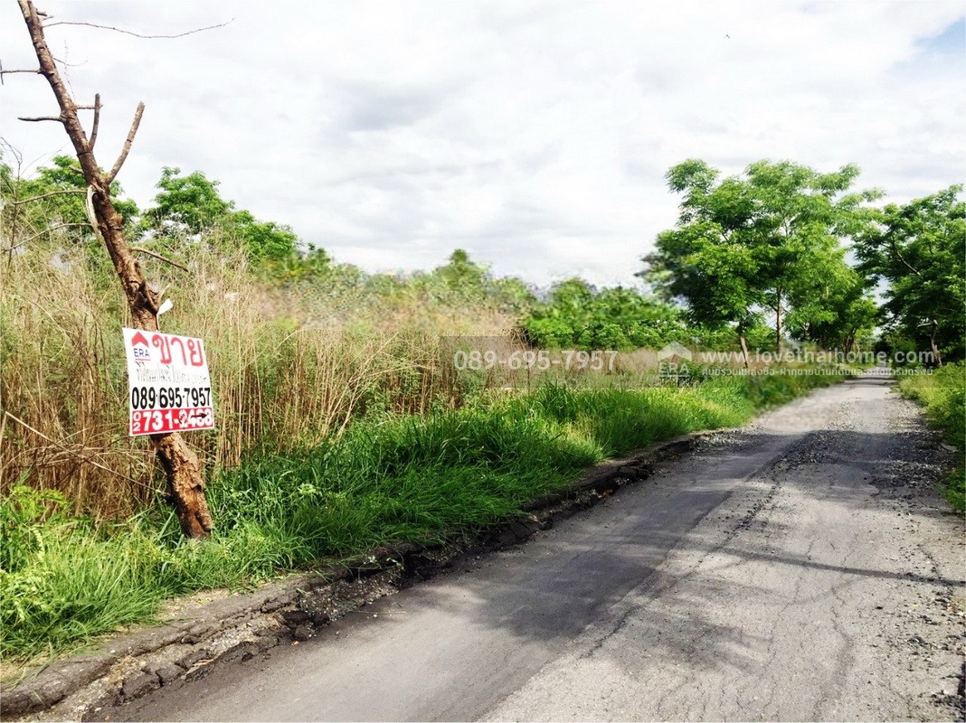 ขายที่ดิน 100 ตร.วา ถ.รังสิต-นครนายก คลอง 9 (ซอย รพ.ส่งเสริมสุขภาพ) ต.ลำผักกูด ธัญบุรี จ.ปทุมธานี ราคาถูกกว่าประเมิน ใกล้วัดอัยยิการาม ขายที่ดิน 100 ตร.วา ถ.รังสิต-นครนายก คลอง 9 (ซอย รพ.ส่งเสริมสุขภาพ) ต.ลำผักกูด ธัญบุรี จ.ปทุมธานี ราคาถูกกว่าประเมิน ใกล้วัดอัยยิการาม