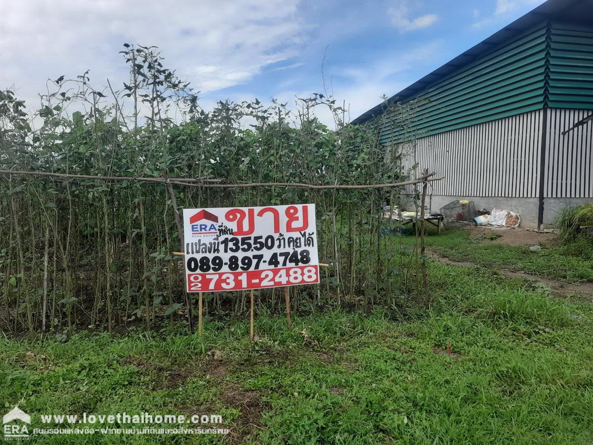 ขายถูกมากที่ดินเลียบคลองลากค้อน ไทรน้อย นนทบุรี พื้นที่ 135.5 ตรว. ใกล้ รพ.ส่งเสริมตำบลคลองลากค้อน