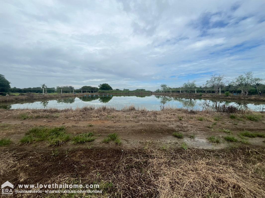 ขายที่ดินเปล่า ที่สวย ซอยวัดดอนขนาก ดอนยายหอม นครปฐม สถานที่ท่องเที่ยวประจำจังหวัด พื้นที่ 13 ไร่ 1 งาน 56 ตารางวา ขายเพียง 4.7 ล้านบาท ขายถูกที่สุดในย่านนี้แล้ว ด่วน!!!