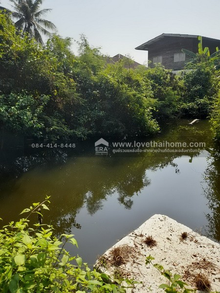 ขายที่ดิน ซอยอนามัยงามเจริญ33 แยก1 ถนนพระราม2 พื้นที่ 4 ไร่ 30 ตรว. ทำเลดี ใกล้ทางด่วน พระราม2 เข้าทางวัดยายร่ม เพียง 5 กม. ถึงถนนพระราม2 เหมาะสำหรับทำธุรกิจสวน หรือปลูกที่พักอาศัยเป็นบ้านสวน