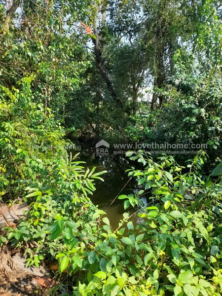 ขายที่ดิน ซอยอนามัยงามเจริญ33 แยก1 ถนนพระราม2 พื้นที่ 4 ไร่ 30 ตรว. ทำเลดี ใกล้ทางด่วน พระราม2 เข้าทางวัดยายร่ม เพียง 5 กม. ถึงถนนพระราม2 เหมาะสำหรับทำธุรกิจสวน หรือปลูกที่พักอาศัยเป็นบ้านสวน