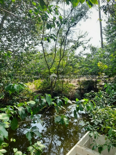 ขายที่ดิน ซอยอนามัยงามเจริญ33 แยก1 ถนนพระราม2 พื้นที่ 4 ไร่ 30 ตรว. ทำเลดี ใกล้ทางด่วน พระราม2 เข้าทางวัดยายร่ม เพียง 5 กม. ถึงถนนพระราม2 เหมาะสำหรับทำธุรกิจสวน หรือปลูกที่พักอาศัยเป็นบ้านสวน