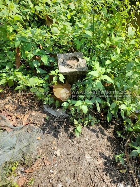 ขายที่ดิน ซอยอนามัยงามเจริญ33 แยก1 ถนนพระราม2 พื้นที่ 4 ไร่ 30 ตรว. ทำเลดี ใกล้ทางด่วน พระราม2 เข้าทางวัดยายร่ม เพียง 5 กม. ถึงถนนพระราม2 เหมาะสำหรับทำธุรกิจสวน หรือปลูกที่พักอาศัยเป็นบ้านสวน