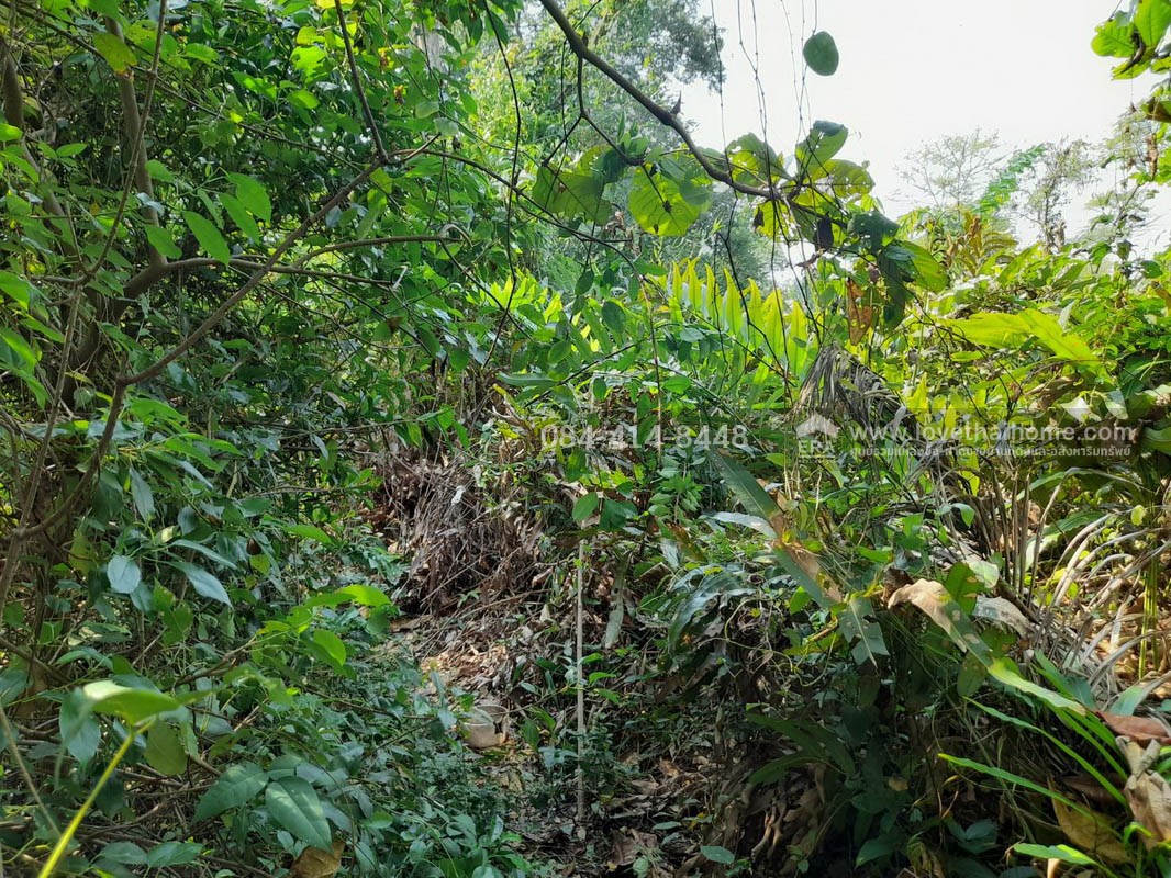 ขายที่ดิน ซอยอนามัยงามเจริญ33 แยก1 ถนนพระราม2 พื้นที่ 4 ไร่ 30 ตรว. ทำเลดี ใกล้ทางด่วน พระราม2 เข้าทางวัดยายร่ม เพียง 5 กม. ถึงถนนพระราม2 เหมาะสำหรับทำธุรกิจสวน หรือปลูกที่พักอาศัยเป็นบ้านสวน