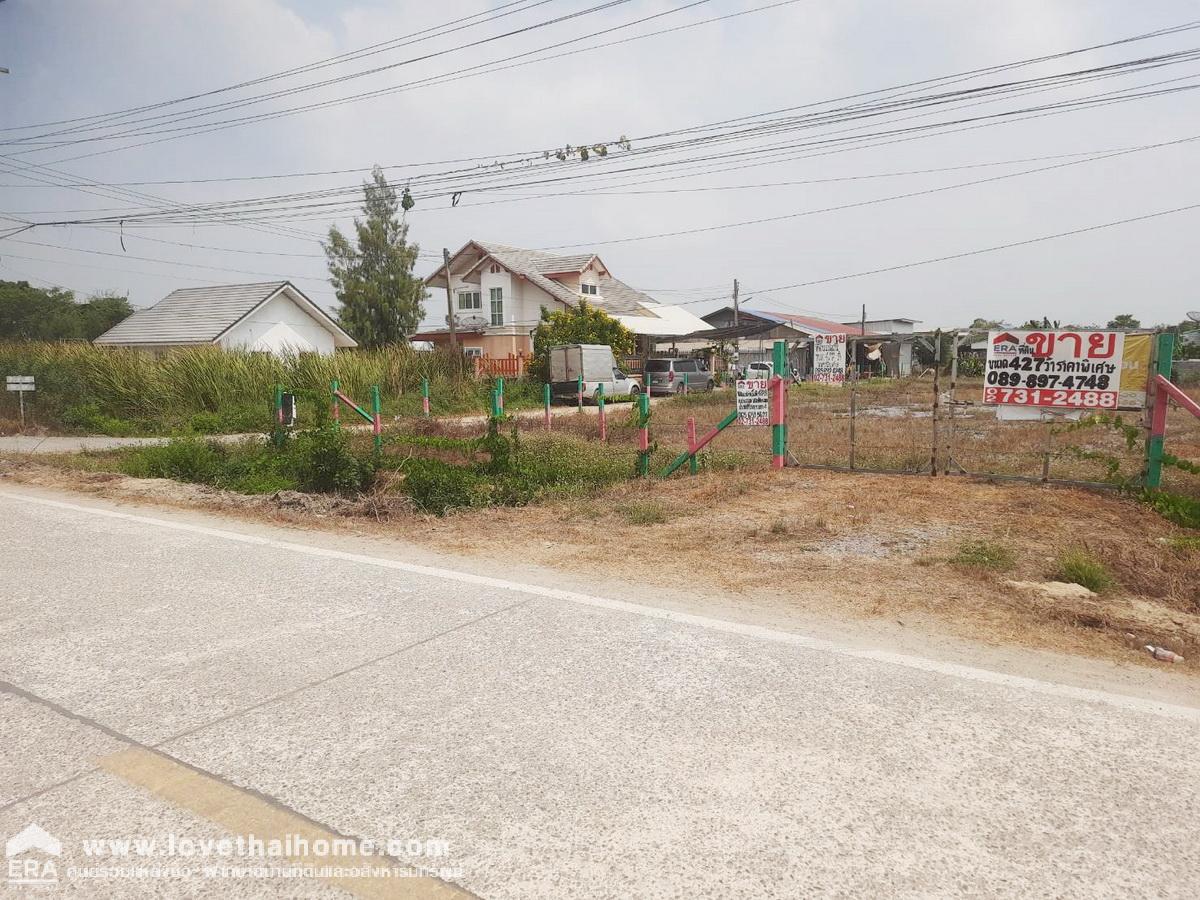 ขายที่ดินติดถนนประชาสำราญ 2 หนองจอก แปลงมุมถมแล้ว 427 ตรว. (380+47ตรว.) ทำเลดี เหมาะทำกิจการบริษัท ตึกแถวและอื่นๆ