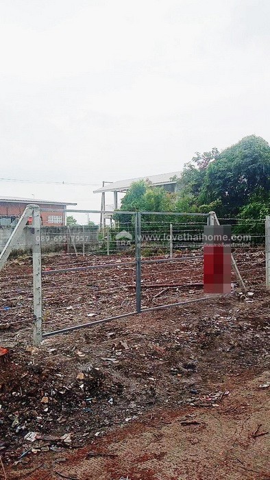 ขายที่ดิน ถนนรังสิต- นครนายก คลอง 11 ( ขาเข้า) 163.2 ตร.วา ซอย ตรงข้าม SCG Home โซลูชั่น (ธัญบุรี คลอง 12)  เข้าไป เพียง 150 เมตร ถมและทำรังวัดแล้ว มีรั้วแสดงขอบเขตชัดเจน