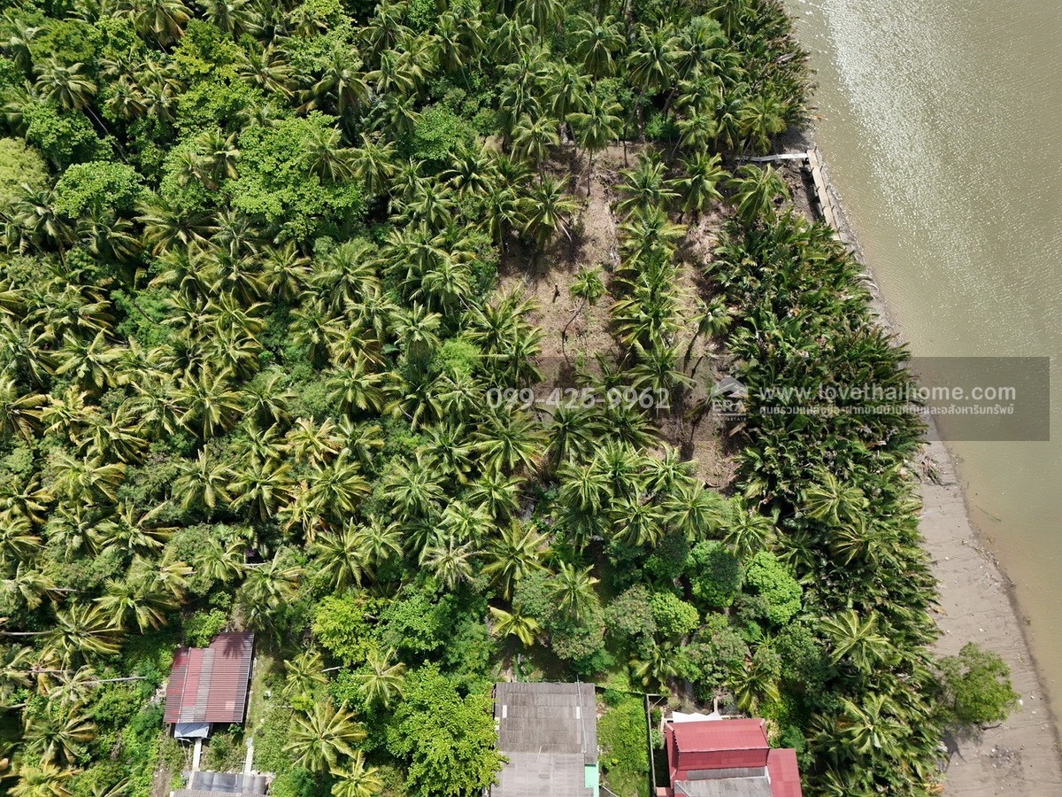 ขายที่ดินติดแม่น้ำแม่กลอง บ้านปรก สมุทรสงคราม พื้นที่ 571 ตรว. ติด อบต.ตำบลบ้านปรก