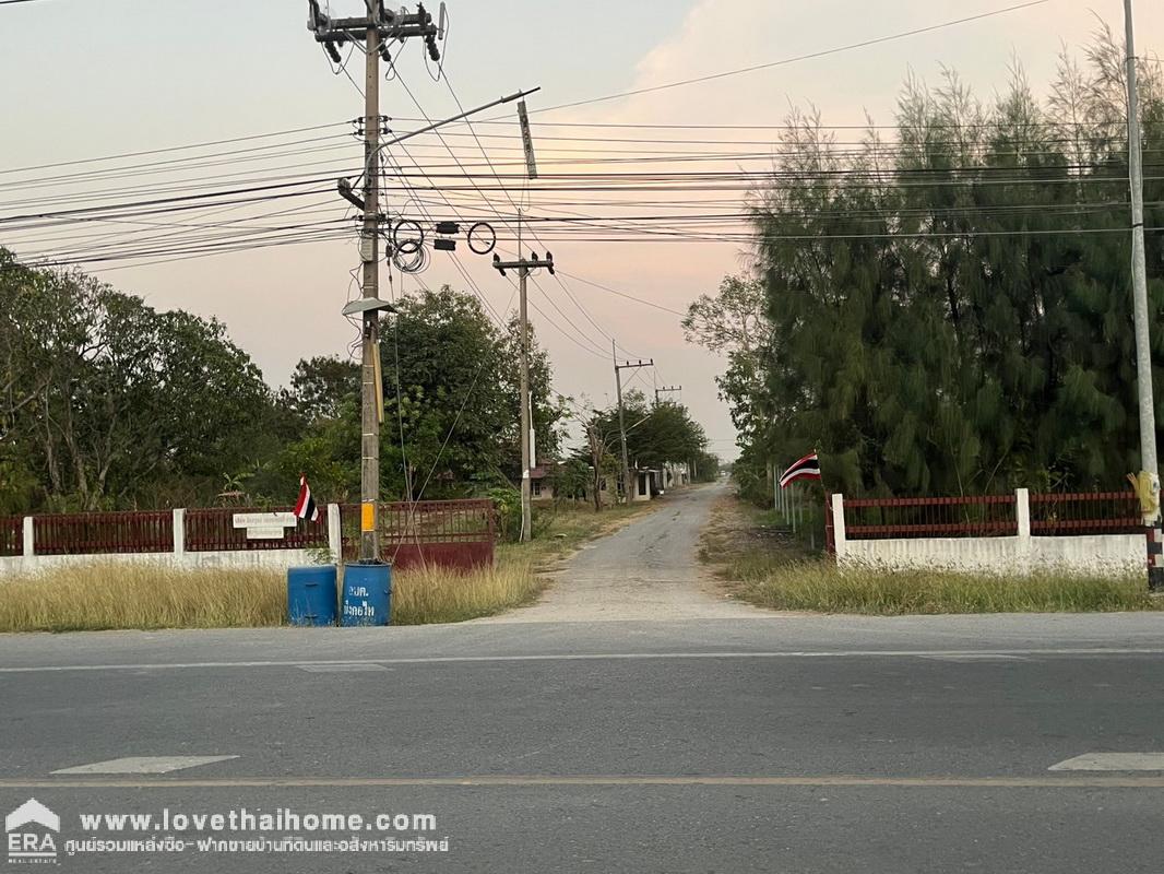 ขายที่ดิน ติดถนนลำลูกกา คลอง12 พื้นที่ 100 ตรว. ขายถูกที่สุดแล้วค่ะ ย่านนี้