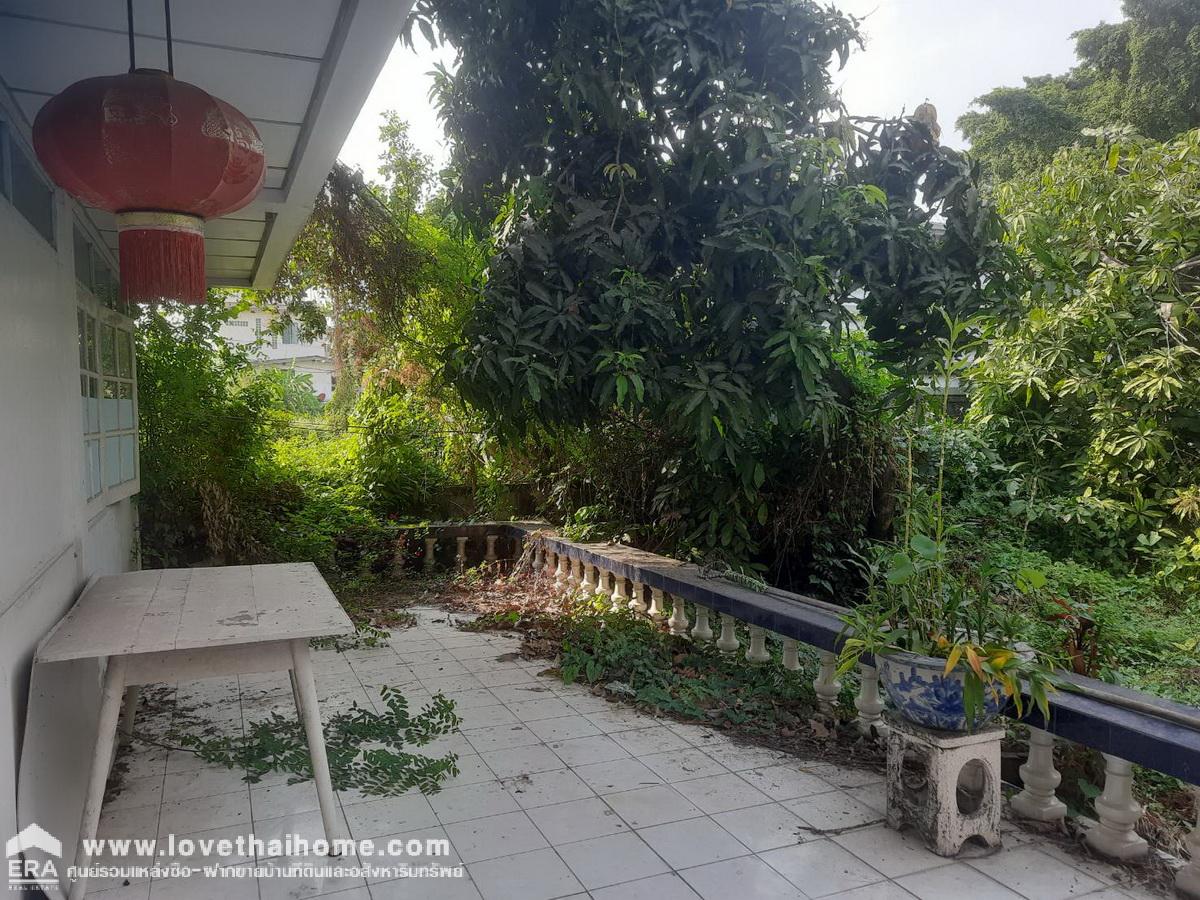 ขายที่ดินแถมบ้านในซอยติวานนท์ 3/1 เข้าซอยเพียง 20 เมตรซ้ายมือ พื้นที่ 181 ตรว. ใกล้รถไฟฟ้าสายสีม่วง-สถานีกระทรวงสาธารณสุข ทำเลเยี่ยม รีบจองด่วน