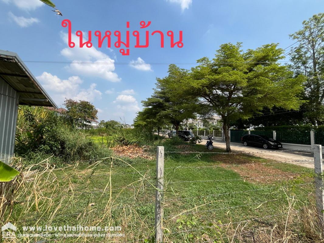 ขายที่ดินถมแล้ว ถนนพหลโยธิน54/1 แยก4 หมู่บ้านรวยสุข พื้นที่ 256.3 ตรว. รูปสี่เหลี่ยมจตุรัส ราคาพิเศษๆ ทำเลทอง เดินทางสะดวก เข้า-ออกหลายทาง *ราคาคุยได้*