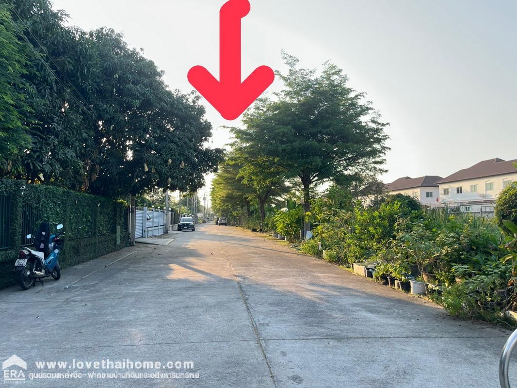 ขายที่ดินถมแล้ว ถนนพหลโยธิน54/1 แยก4 หมู่บ้านรวยสุข พื้นที่ 256.3 ตรว. รูปสี่เหลี่ยมจตุรัส ราคาพิเศษๆ ทำเลทอง เดินทางสะดวก เข้า-ออกหลายทาง *ราคาคุยได้*