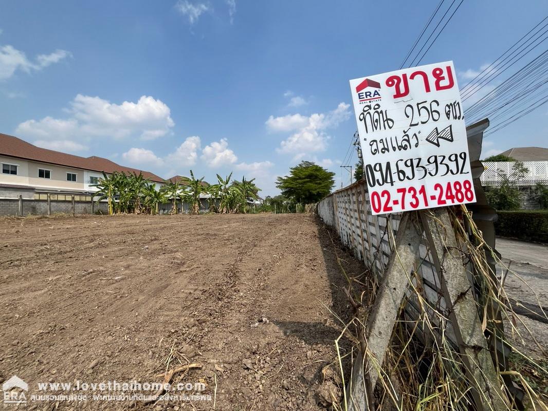 ขายที่ดินถมแล้ว ถนนพหลโยธิน54/1 แยก4 หมู่บ้านรวยสุข พื้นที่ 256.3 ตรว. รูปสี่เหลี่ยมจตุรัส ราคาพิเศษๆ ทำเลทอง เดินทางสะดวก เข้า-ออกหลายทาง *ราคาคุยได้*