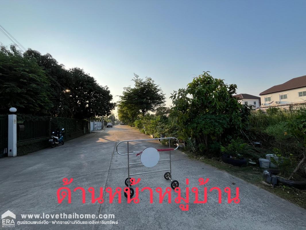 ขายที่ดินถมแล้ว ถนนพหลโยธิน54/1 แยก4 หมู่บ้านรวยสุข พื้นที่ 256.3 ตรว. รูปสี่เหลี่ยมจตุรัส ราคาพิเศษๆ ทำเลทอง เดินทางสะดวก เข้า-ออกหลายทาง *ราคาคุยได้*