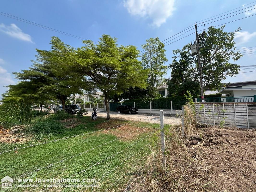 ขายที่ดินถมแล้ว ถนนพหลโยธิน54/1 แยก4 หมู่บ้านรวยสุข พื้นที่ 256.3 ตรว. รูปสี่เหลี่ยมจตุรัส ราคาพิเศษๆ ทำเลทอง เดินทางสะดวก เข้า-ออกหลายทาง *ราคาคุยได้*