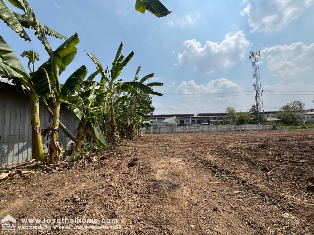ขายที่ดินถมแล้ว ถนนพหลโยธิน54/1 แยก4 หมู่บ้านรวยสุข พื้นที่ 256.3 ตรว. รูปสี่เหลี่ยมจตุรัส ราคาพิเศษๆ ทำเลทอง เดินทางสะดวก เข้า-ออกหลายทาง *ราคาคุยได้*