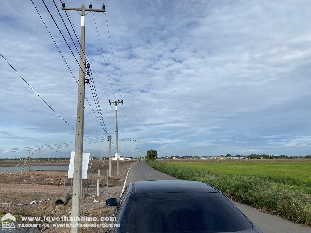 ขายที่ดินในโครงการปิ่นทองแลนด์ บางเลน นครปฐม ต.บัวปากท่า ที่สวย มี 2 แปลงติดกัน 400 ตรว. ถนนกว้าง 6 เมตร