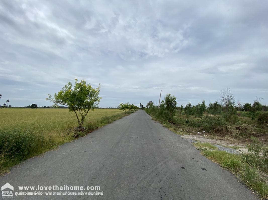 ขายที่ดินในโครงการปิ่นทองแลนด์ บางเลน นครปฐม ต.บัวปากท่า ที่สวย มี 2 แปลงติดกัน 400 ตรว. ถนนกว้าง 6 เมตร