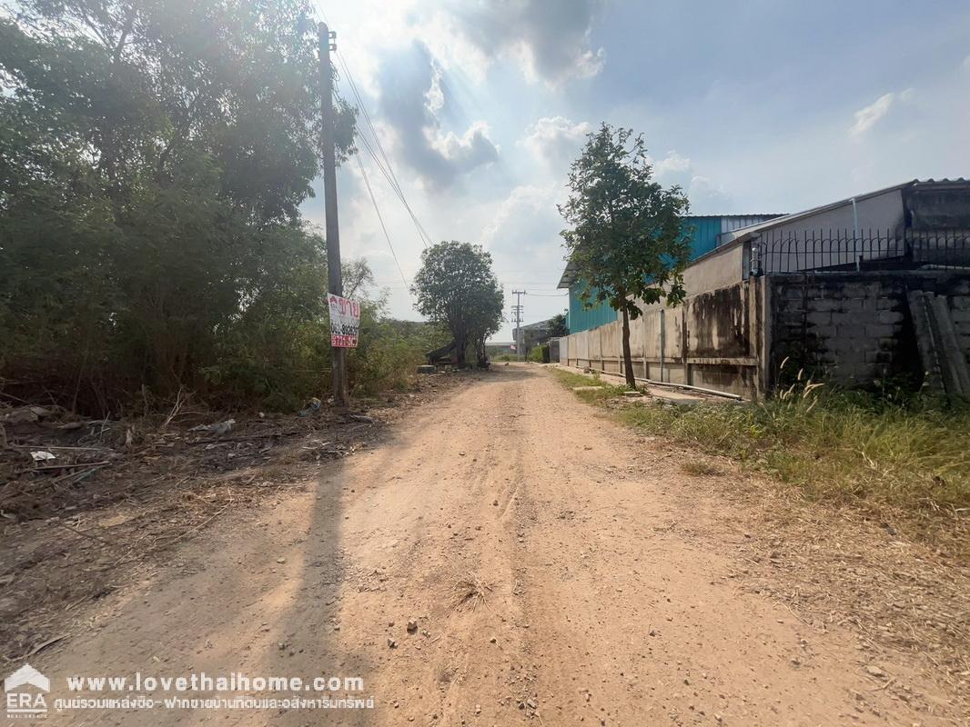 ขายที่ดิน ถมแล้ว ต.คลอง5ตะวันตก อ.คลองหลวง จ.ปทุมธานี แปลงสวย ทำเลทอง พื้นที่ 84 ตารางวา ขายราคา 890,000 บาท ใกล้ทางด่วนกาญจนาภิเษก ราคาสุดคุ้ม ด่วนๆ!!