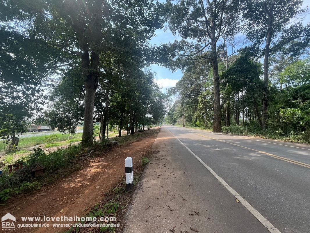 ขายที่ดิน ติดถนนสุขุมวิท ต.บ่อ อ.ขลุง จ.จันทบุรี ทำเลทอง พื้นที่ 17 ไร่ 1 งาน 15.7 ตารางวา ที่ดินหน้ากว้าง เหมาะสำหรับลงทุน