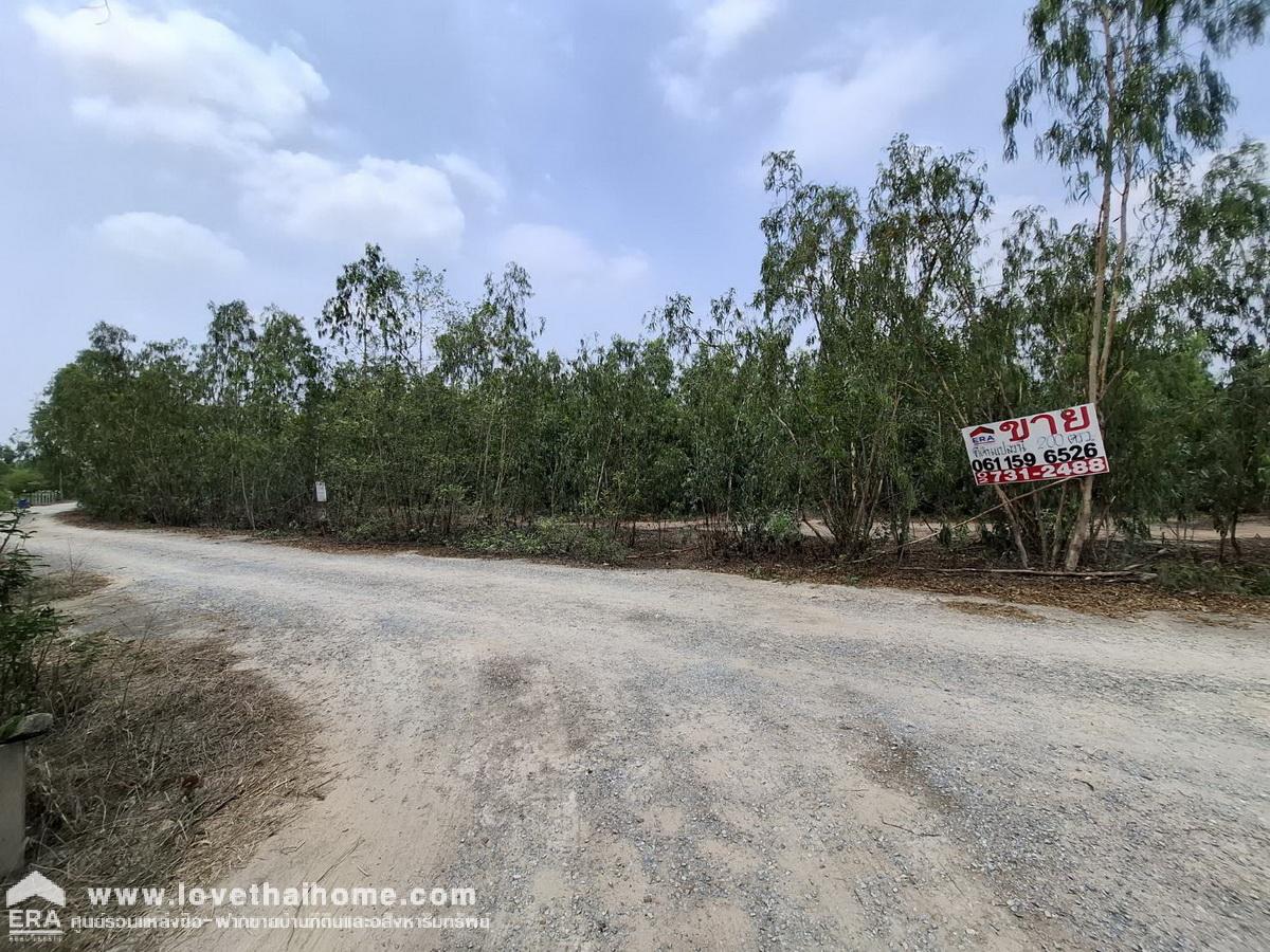 ขายที่ดิน ต.บางหลวง อ.บางเลน จ.นครปฐม พื้นที่ 200 ตรว. ใกล้ศูนย์อภัยทานภูริญาโณ เหมาะสำหรับปลูกบ้าน,โกดัง,สำนักงาน น้ำประปา+ไฟฟ้าพร้อม