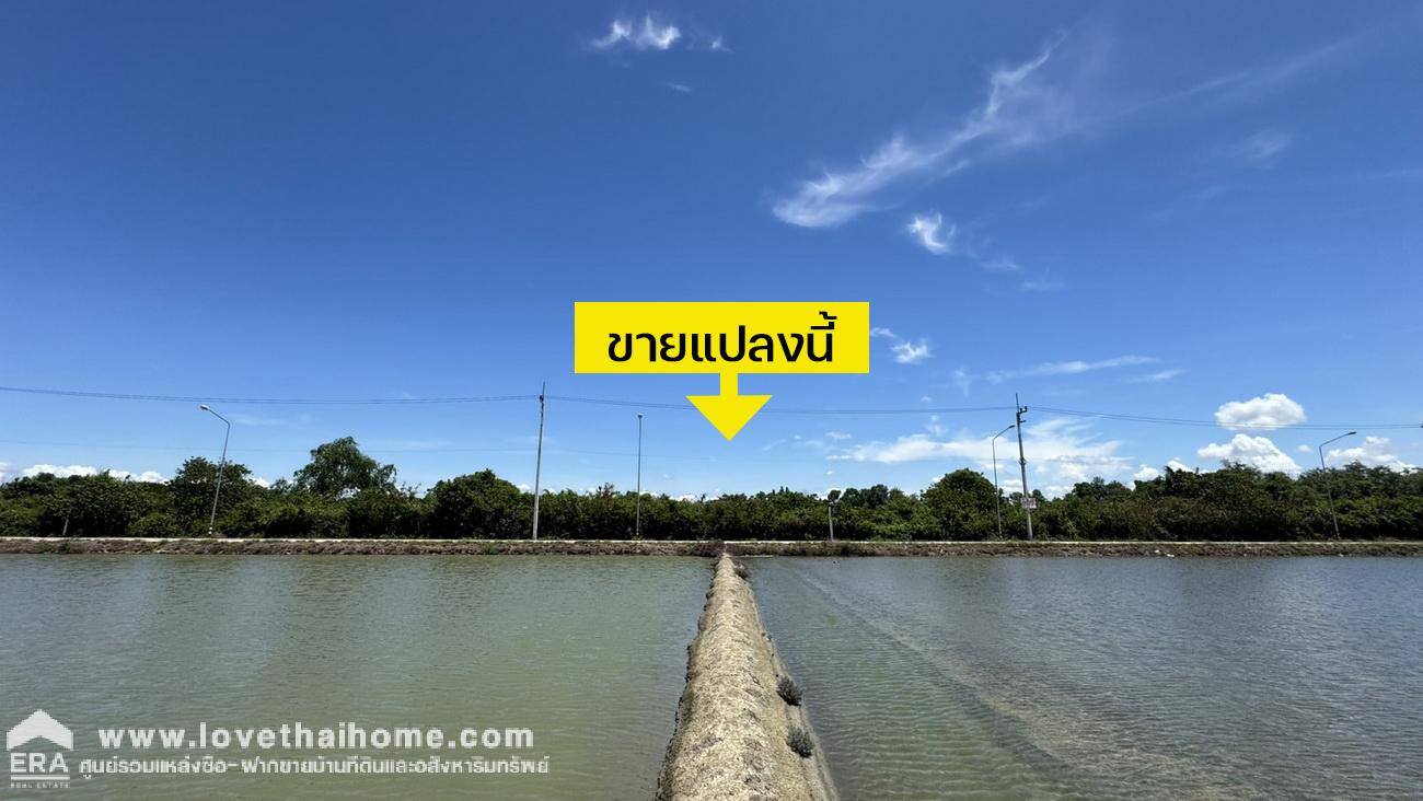ขายที่ดินบางกระเจ้า (ซอยบางยี่ออง) เมืองสมุทรสาคร พื้นที่ 47 ไร่ ติดทางรถไฟสายบ้านแหลม-แม่กลอง ราคาต่อรองได้ โฉนดพร้อมโอน