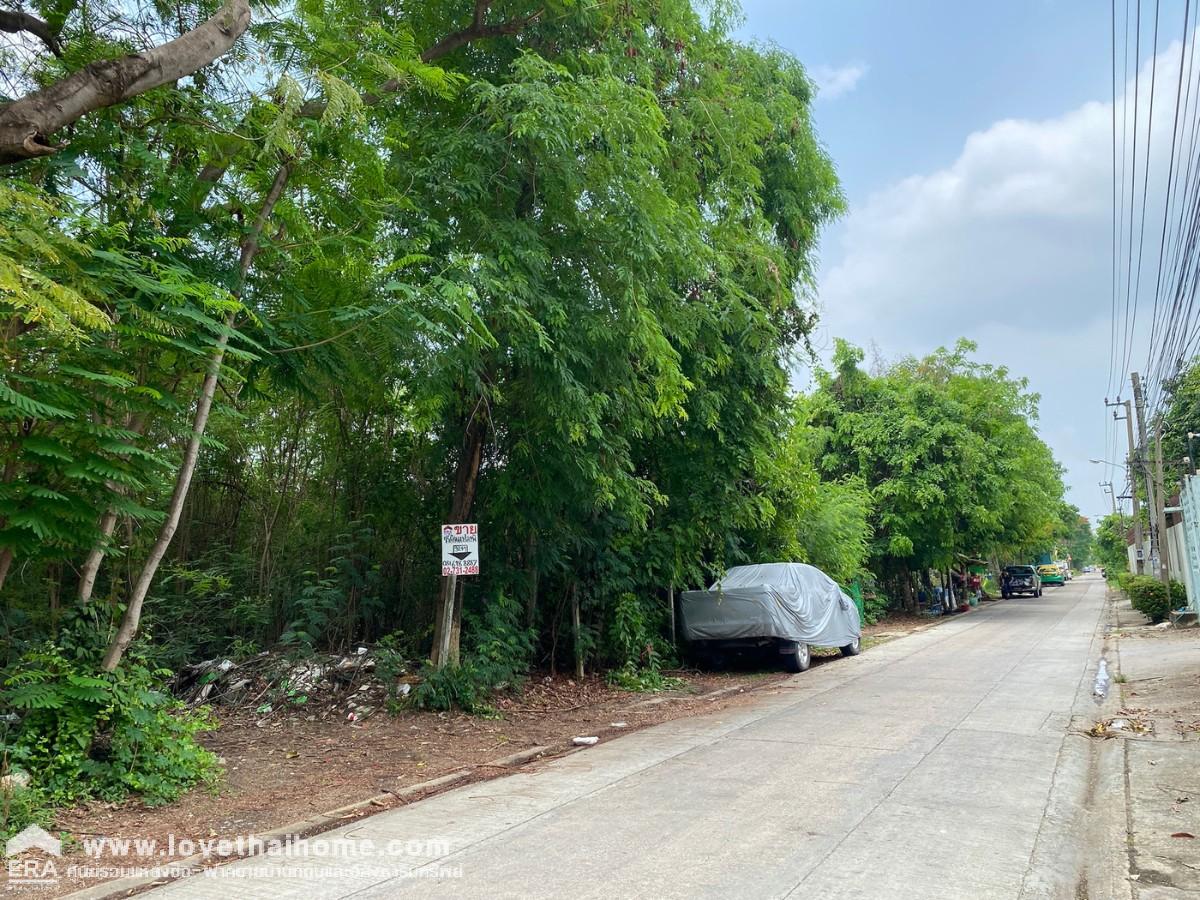ขายที่ดินเพชรเกษม ซอยเพชรเกษม77 แยก4-1 ขนาด 324ตรว รูปทรงสวย ราคาต่อรองได้ อยู่ซอยเดียวกับวัดระฆังพรหมรังสี