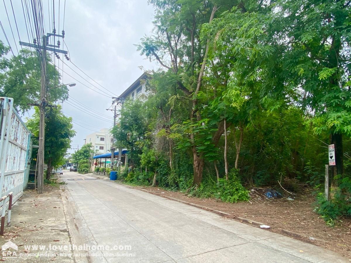 ขายที่ดินเพชรเกษม ซอยเพชรเกษม77 แยก4-1 ขนาด 324ตรว รูปทรงสวย ราคาต่อรองได้ อยู่ซอยเดียวกับวัดระฆังพรหมรังสี
