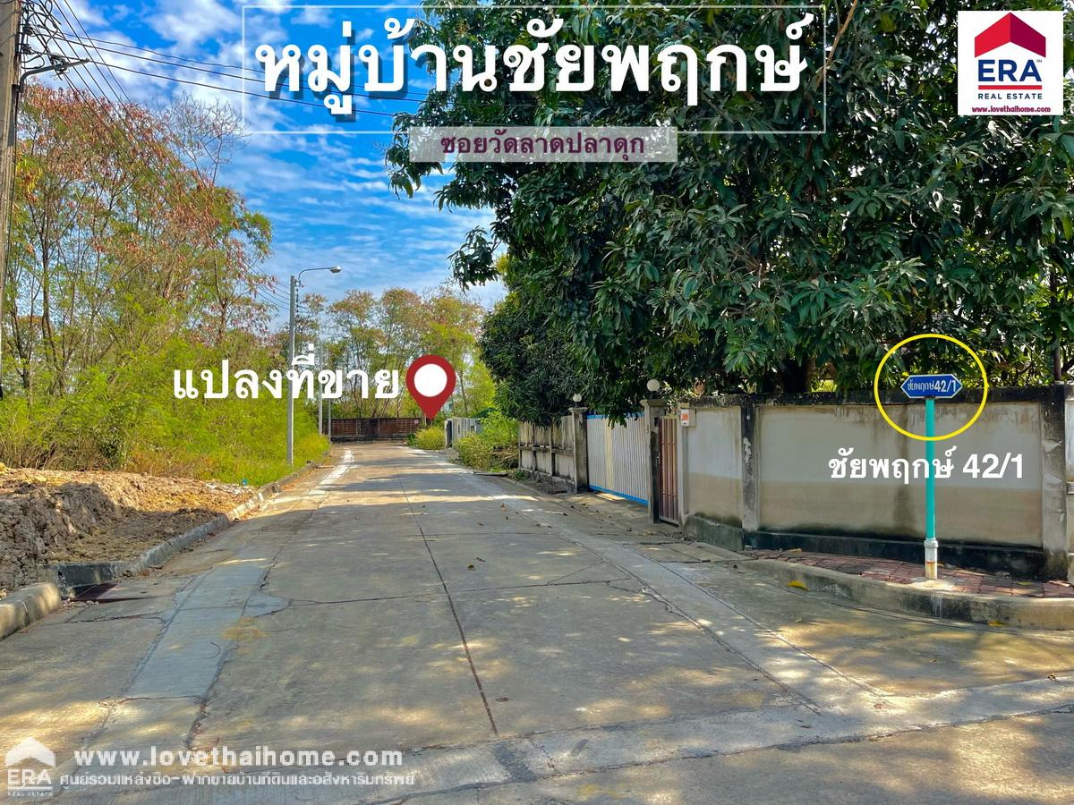 ขายที่ดินในหมู่บ้านชัยพฤกษ์ วัดลาดปลาดุก บางบัวทอง นนทบุรี แปลงริม 126.9 ตรว. ขายถูกมาก ต่ำกว่าราคาตลาด ต่ำกว่าราคาประเมิน ถมแล้ว พร้อมปลูกสร้างบ้าน
