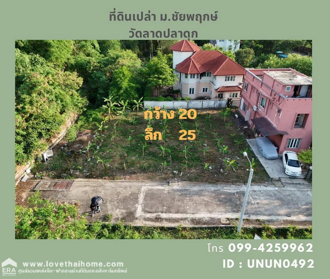 ขายที่ดินในหมู่บ้านชัยพฤกษ์ วัดลาดปลาดุก บางบัวทอง นนทบุรี แปลงริม 126.9 ตรว. ขายถูกมาก ต่ำกว่าราคาตลาด ต่ำกว่าราคาประเมิน ถมแล้ว พร้อมปลูกสร้างบ้าน