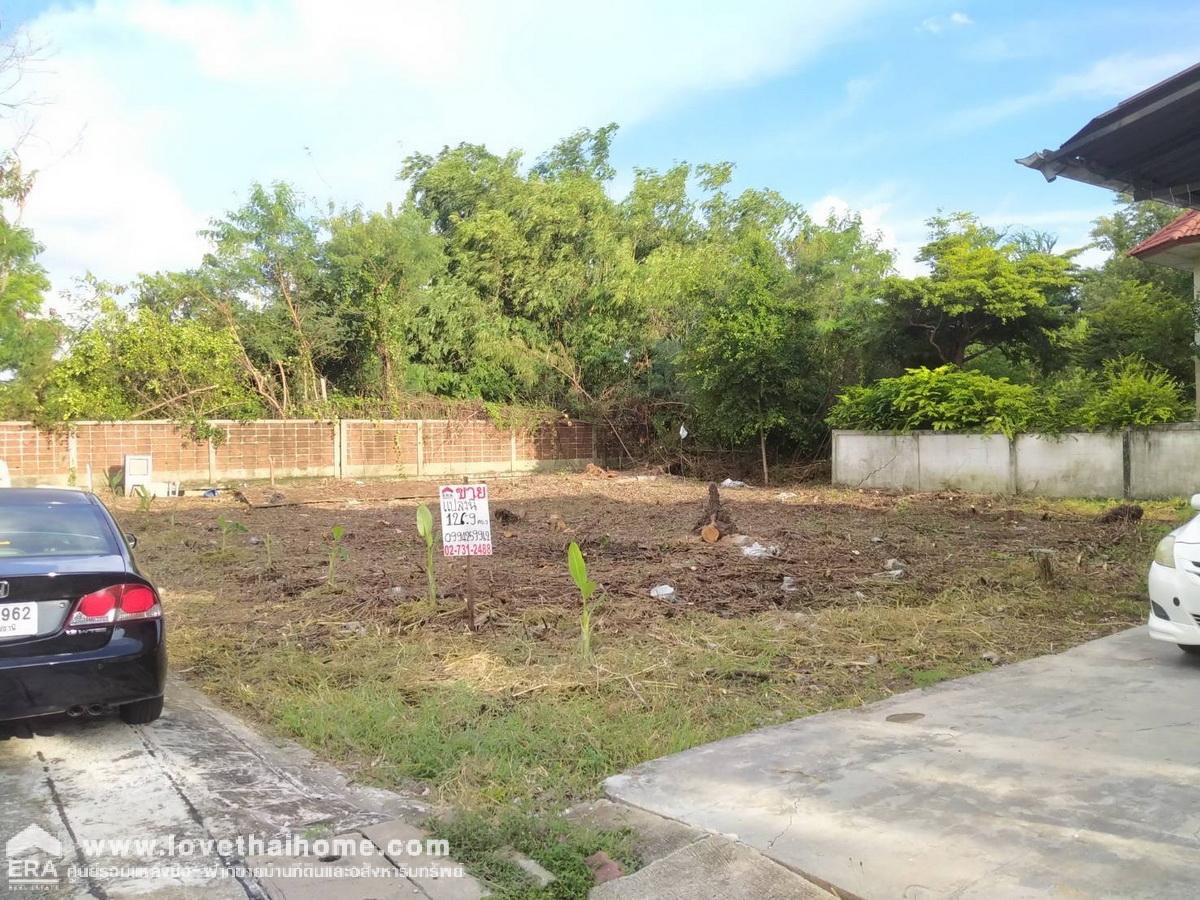 ขายที่ดินในหมู่บ้านชัยพฤกษ์ วัดลาดปลาดุก บางบัวทอง นนทบุรี แปลงริม 126.9 ตรว. ขายถูกมาก ต่ำกว่าราคาตลาด ต่ำกว่าราคาประเมิน ถมแล้ว พร้อมปลูกสร้างบ้าน