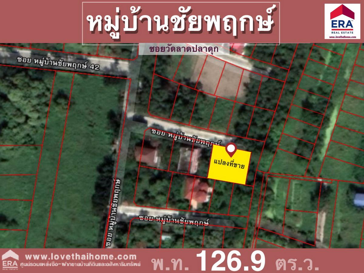 ขายที่ดินในหมู่บ้านชัยพฤกษ์ วัดลาดปลาดุก บางบัวทอง นนทบุรี แปลงริม 126.9 ตรว. ขายถูกมาก ต่ำกว่าราคาตลาด ต่ำกว่าราคาประเมิน ถมแล้ว พร้อมปลูกสร้างบ้าน