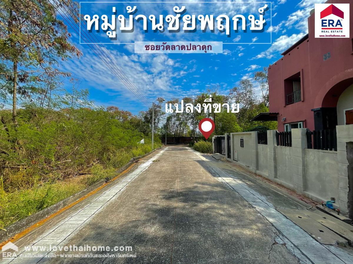 ขายที่ดินในหมู่บ้านชัยพฤกษ์ วัดลาดปลาดุก บางบัวทอง นนทบุรี แปลงริม 126.9 ตรว. ขายถูกมาก ต่ำกว่าราคาตลาด ต่ำกว่าราคาประเมิน ถมแล้ว พร้อมปลูกสร้างบ้าน