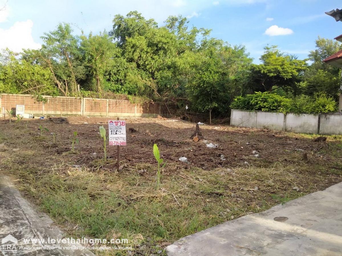 ขายที่ดินในหมู่บ้านชัยพฤกษ์ วัดลาดปลาดุก บางบัวทอง นนทบุรี แปลงริม 126.9 ตรว. ขายถูกมาก ต่ำกว่าราคาตลาด ต่ำกว่าราคาประเมิน ถมแล้ว พร้อมปลูกสร้างบ้าน