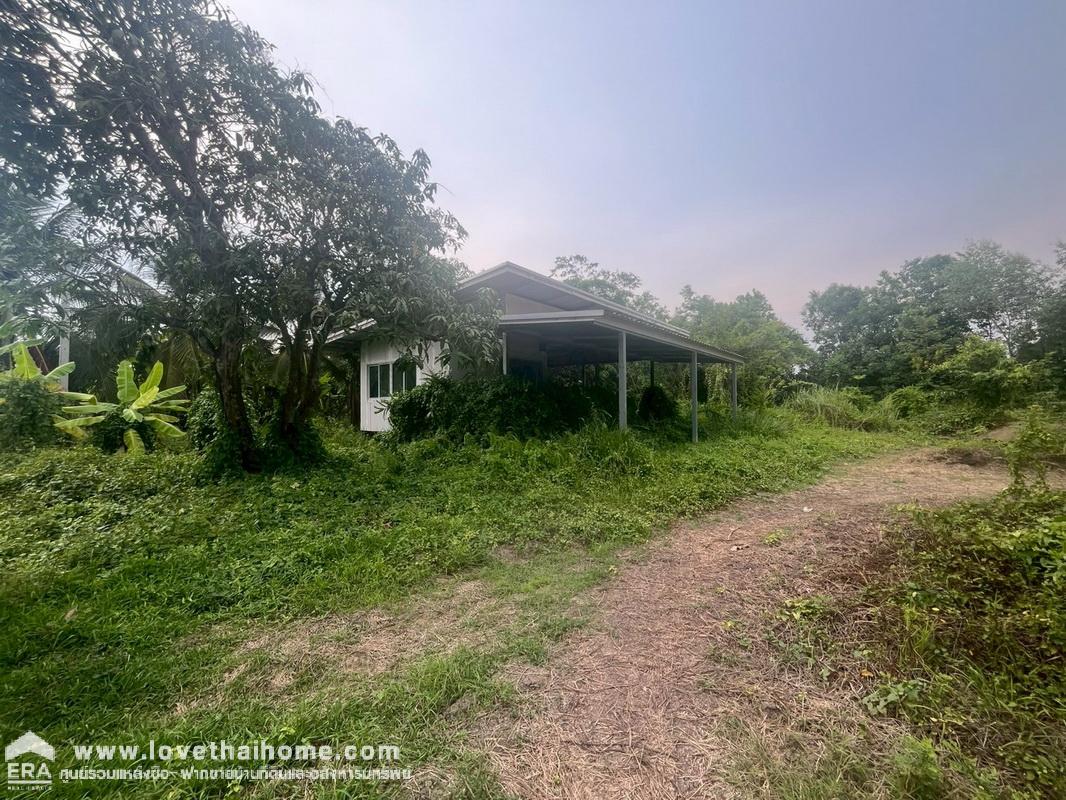 ขายที่ดิน ถนนรังสิต-นครนายก คลอง12 หนองเสือ ปทุมธานี ไม่แพงเลย พร้อมแถมบ้าน 1 หลัง ชั้นเดียว พื้นที่ 1-3-3 ไร่ คุยราคาได้สุดๆ