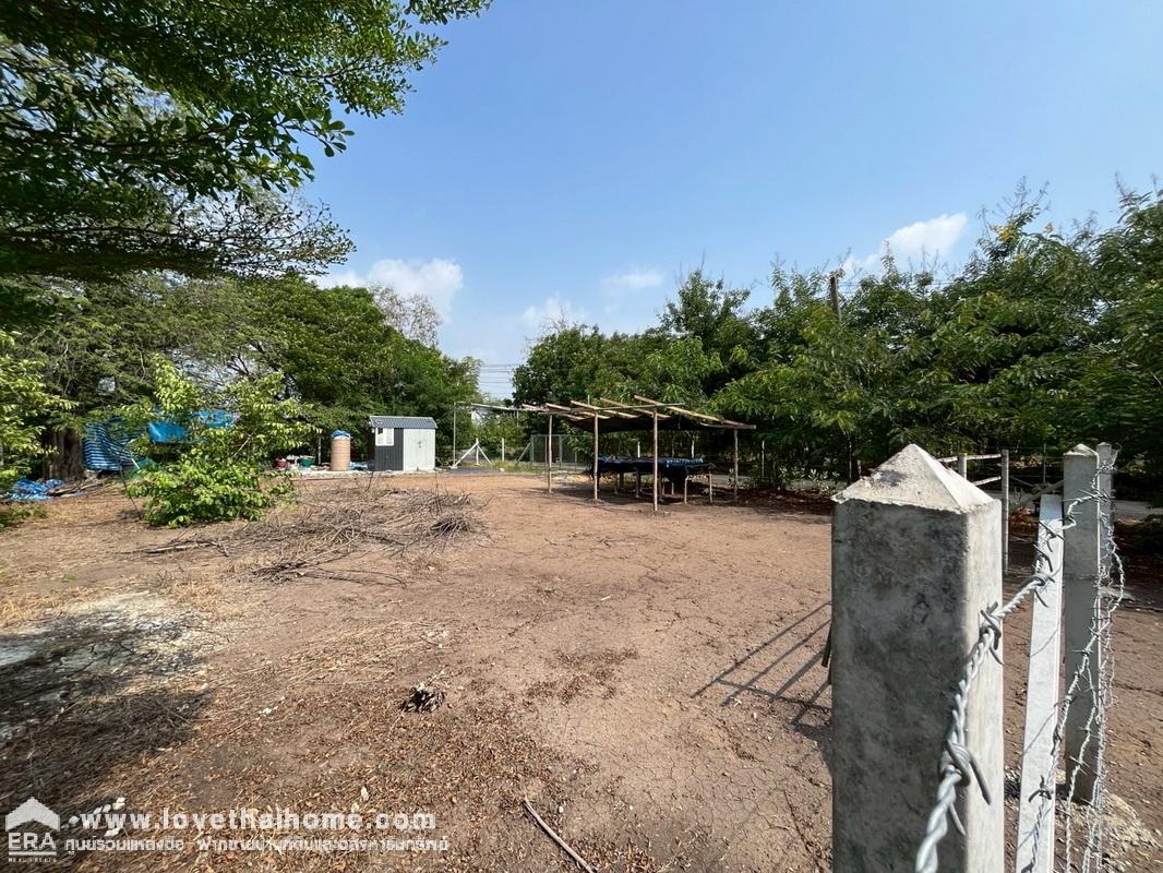 ขายที่ดิน ติดถนน5029 (ถนนบางกะผึ้ง) ที่ดินสวยมาก ถมแล้ว ติดถนนสาธารณะประโยชน์ พื้นที่ 210 ตรว. ด้านกว้างติดถนน 16 เมตร ยาว 54 เมตร